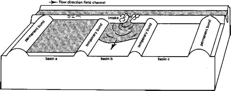 CHAPTER 2. BASIN IRRIGATION