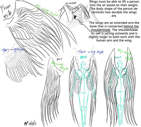 Wings anatomy and reference by EmbraceDarkshade on DeviantArt