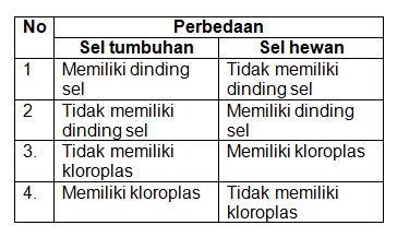 Buatlah Tabel Perbedaan Sel Hewan Dan Sel Tumbuhan - Homecare24