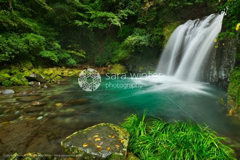 Kawazu waterfall trail, Izu Peninsula, Japan | Sara Winter Photography