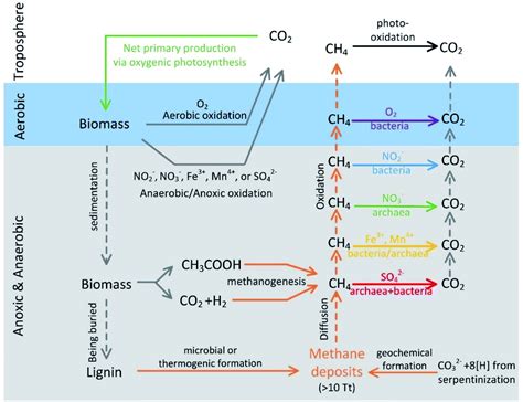 Role And Regulation Of Anaerobic Methane Oxidation, 41% OFF