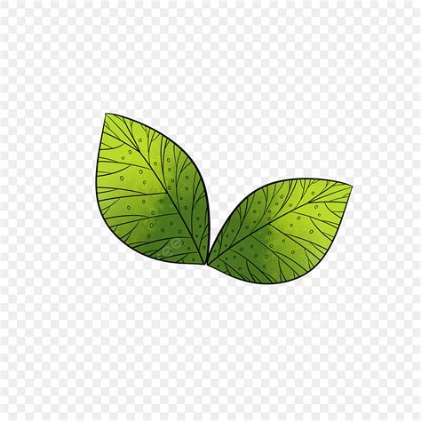 Hoja Transparente PNG, Vectores, PSD, e Clipart Para Descarga Gratuita - Pngtree