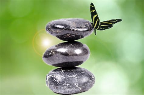 Zen Stones And Butterfly Free Stock Photo - Public Domain Pictures