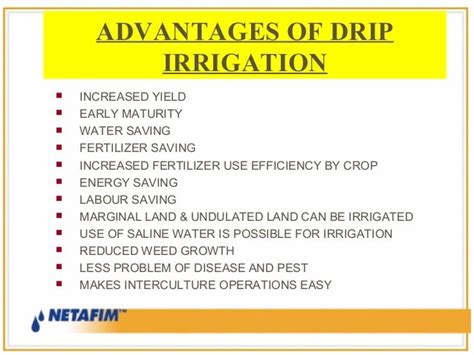 Drip irrigation benefits