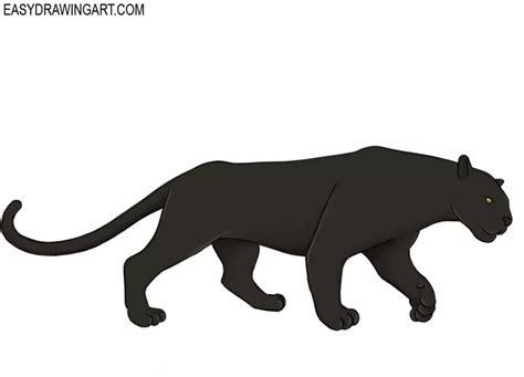 How to Draw a Panther - Easy Drawing Art