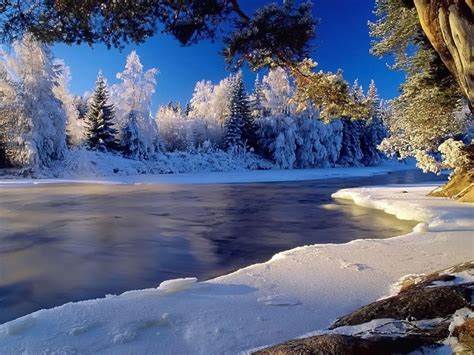 Download Bing Winter Wallpapers