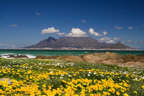 Best of Cape Town on any Budget - Things to Do in Cape Town