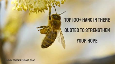 Hang In There Quotes, Motivational Hang In There Quotes