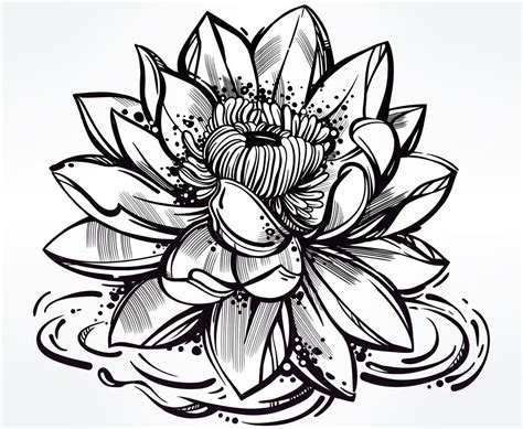Japanese Lotus Flower Drawing at GetDrawings | Free download
