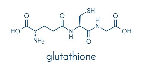 Glutathione: Benefits and Risks | Vinmec