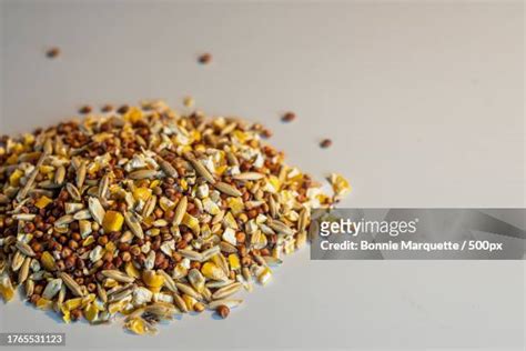 20 Horse Feed Ingredients Stock Photos, High-Res Pictures, and Images ...