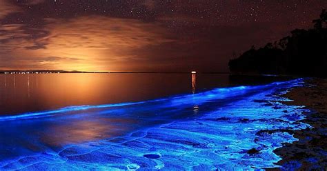 Glowing bioluminisant beach in Maldives - KNUDGE FACTORY