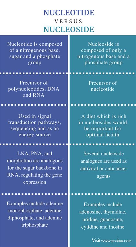 Difference Between Nucleotide and Nucleoside | Structure, Characteristics, Function