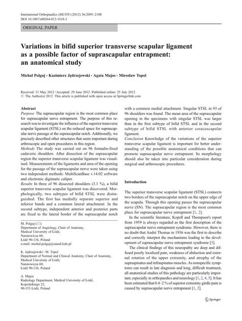 (PDF) Variations in bifid superior transverse scapular ligament as a possible factor of ...