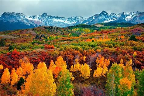 Fall Events in Vail - Mountain Resort Concierge