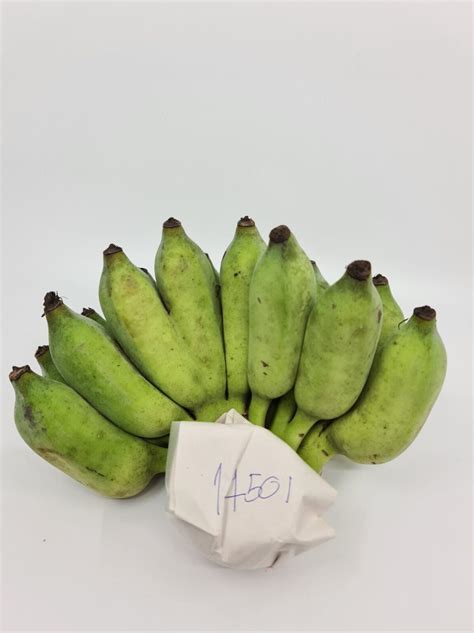 Buah Pisang Kepok Fresh Asian Banana 500g - Banana Fritters type - Toko Indonesia