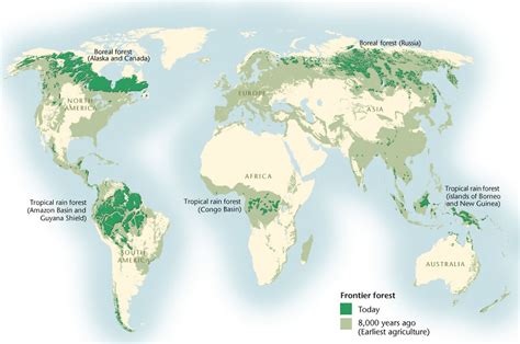 main forest areas in the world (3º ESO)