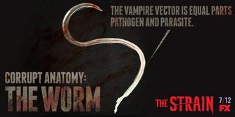 Vampire (Strigoi) | The Strain Wiki | Fandom