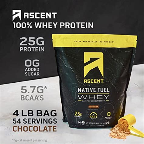 Ascent 100% Whey Protein Powder - Post Workout Whey Protein Isolate, Zero Artificial Flavors ...