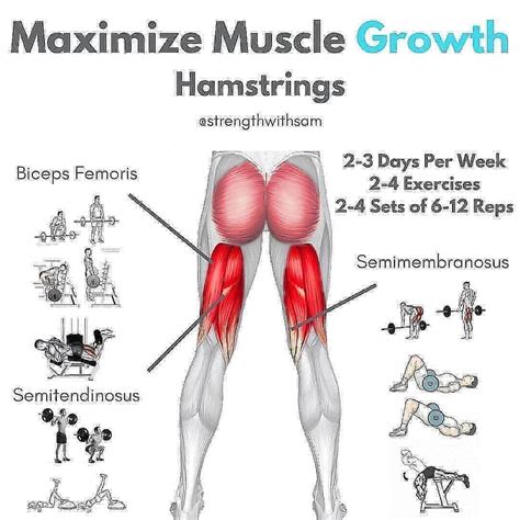 MAXIMIZE MUSCLE GROWTH HAMSTRINGS WORKOUT EXERCISES YOUR BODY 😱🔥🔥🔥 ️ ️💥 ...