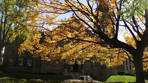 A Trip Down Memory Lane: West Virginia Fall Foliage