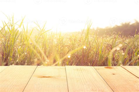 wooden table and grass field at sunrise summer nature background 10851265 Stock Photo at Vecteezy