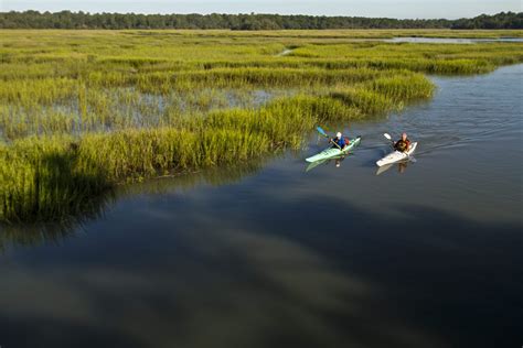 Estuary Science ~ What is an Estuary? ~ Restore America's Estuaries