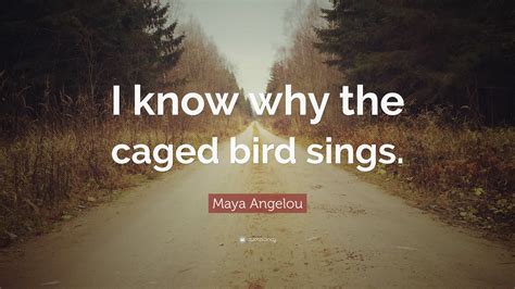 I know why the caged bird sings full book - plmfeel