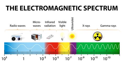 Seeing the Unseen: What Our Human Eyes Don’t Show Us | animals | aura | electromagnetic | The ...