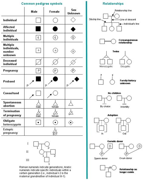 Genetic Pedigree Symbols