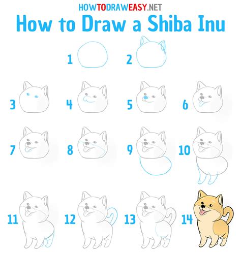 How to Draw a Shiba Inu - How to Draw Easy