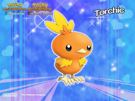 Torchic Wallpapers - Top Free Torchic Backgrounds - WallpaperAccess