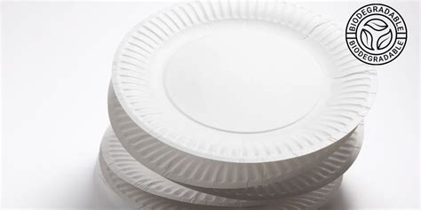 Are Paper Plates Biodegradable? 7 Things You Need to Know!