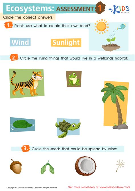 Ecosystems: Assessment 1 Worksheet for kids - Answers and Completion Rate