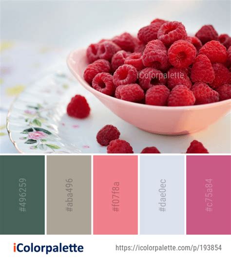 51 Raspberry Color Palette ideas in 2024 | iColorpalette