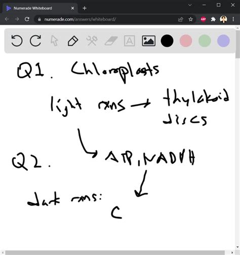 SOLVED: Photosynthesis cyclic = and noncyclic) How light energy is ...