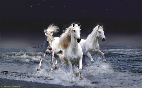 Free Horse Screensavers And Wallpapers - Wallpaper Cave