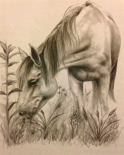 Realistic Horse Drawing At Getdrawings Free Download - Riset