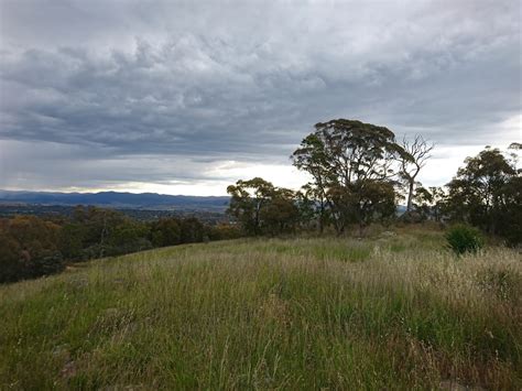 Mount Rogers Summit - Mount Rogers Reserve, Fraser ACT 2615, Australia