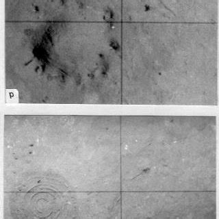 Photographic records of extensive recent bioturbation activity on the... | Download Scientific ...