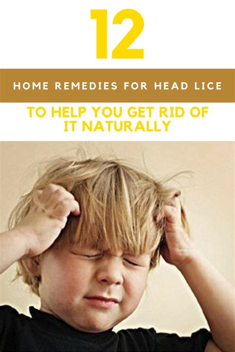 12 Best Head Lice Treatments You Can Use at Home in 2022