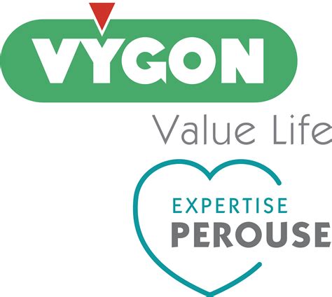 Download Gold Corner Sponsors - Vygon Logo - Full Size PNG Image - PNGkit