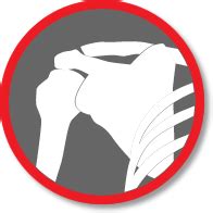 Shoulder Icon #342796 - Free Icons Library