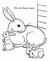 Baby Bunnies Coloring Pages  Printable Bunny Sheets sketch template