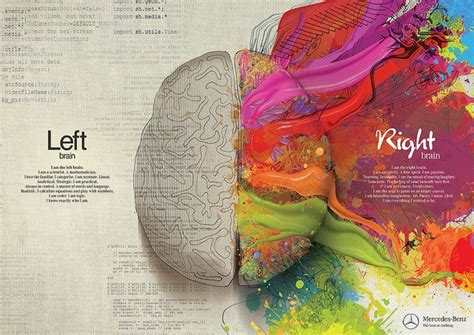 Left Brain Right Brain Poster (paint-72dpi) | Left brain right brain, Brain painting, Right brain