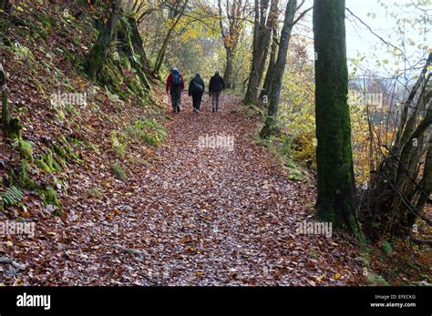 Autumn killiecrankie walk hi-res stock photography and images - Alamy