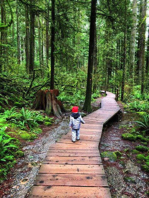 Gorgeous & Easy Winter Hikes Near Vancouver for Family To Enjoy