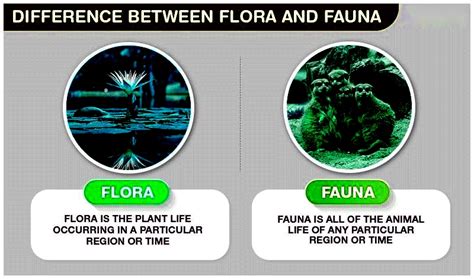 Difference Between Flora and Fauna | Flora vs Fauna - Testbook