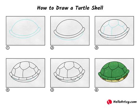 How to Draw a Turtle Shell - HelloArtsy