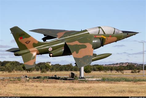 15229 Força Aérea Portuguesa (Portuguese Air Force) Dassault/Dornier ...